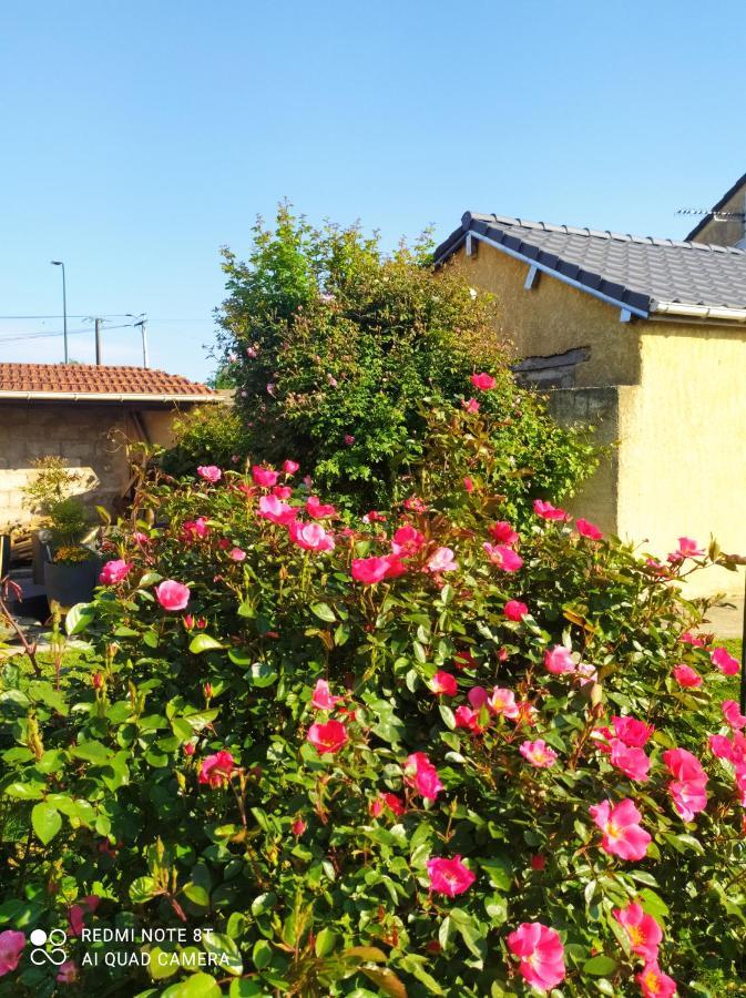 Chez Celine En Campagne Daire Mazerny Dış mekan fotoğraf