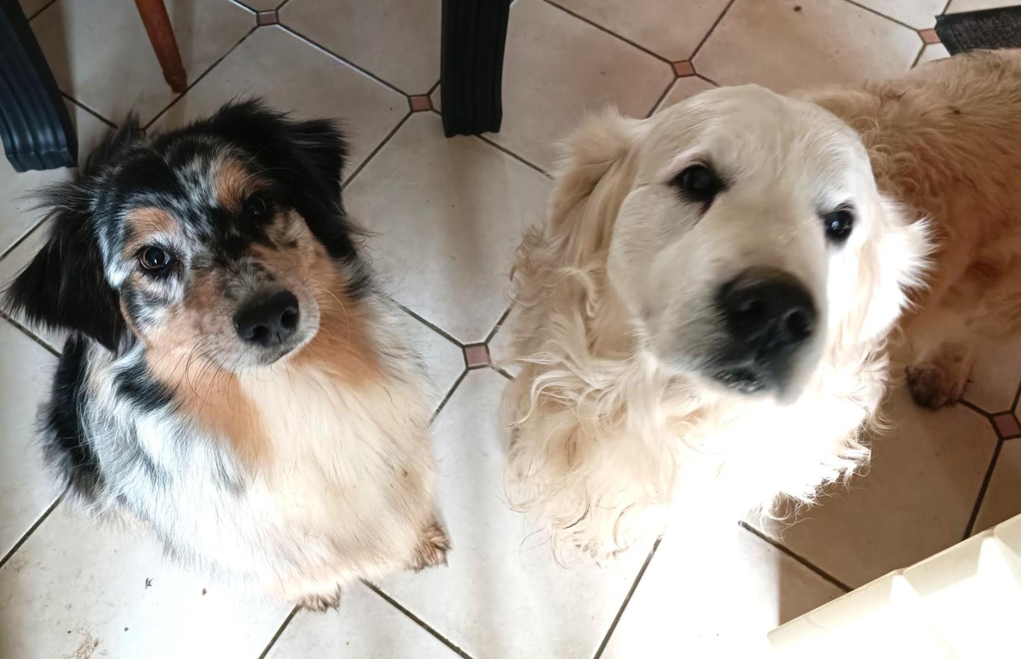 Chez Celine En Campagne Daire Mazerny Dış mekan fotoğraf