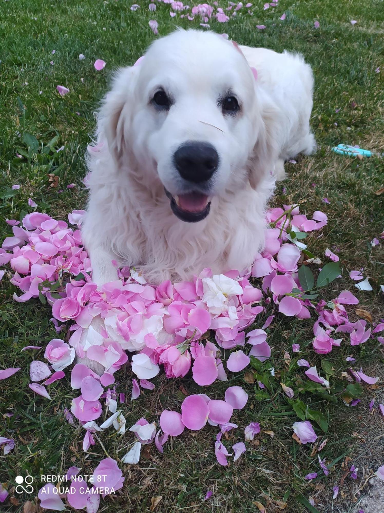 Chez Celine En Campagne Daire Mazerny Dış mekan fotoğraf