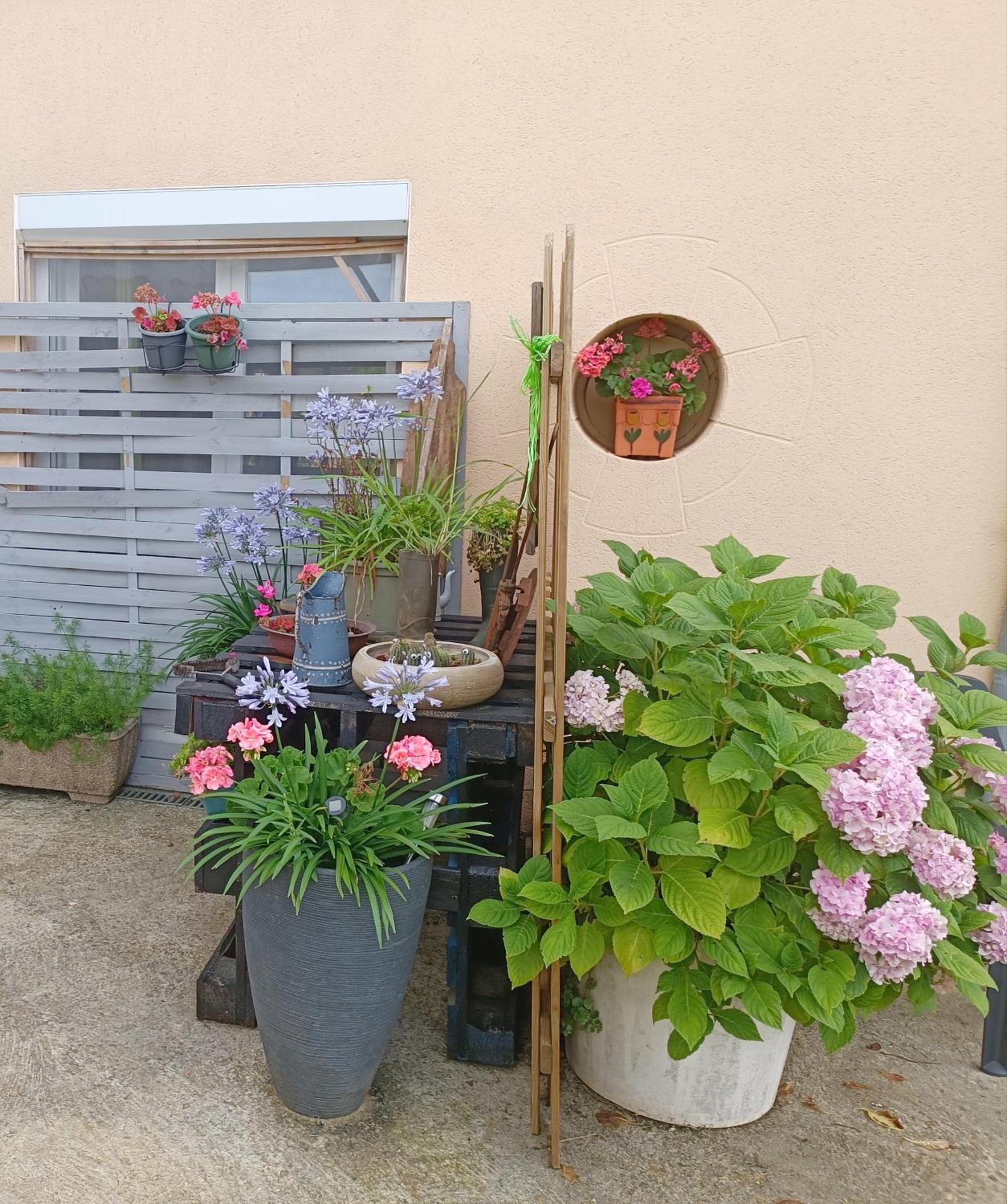 Chez Celine En Campagne Daire Mazerny Dış mekan fotoğraf